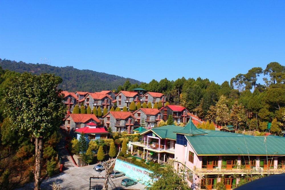 Nature Bloom Dharamshala Hotel And Resort Palampur Exterior photo