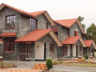 Nature Bloom Dharamshala Hotel And Resort Palampur Exterior photo
