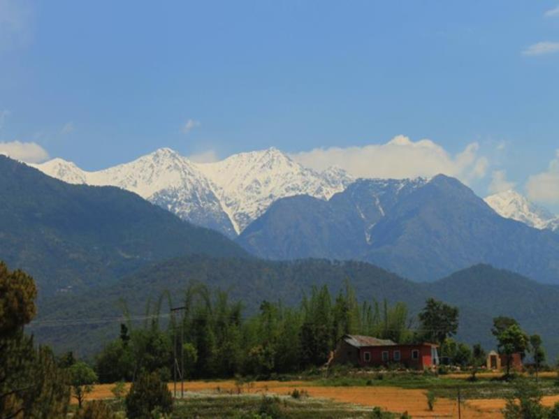 Nature Bloom Dharamshala Hotel And Resort Palampur Exterior photo