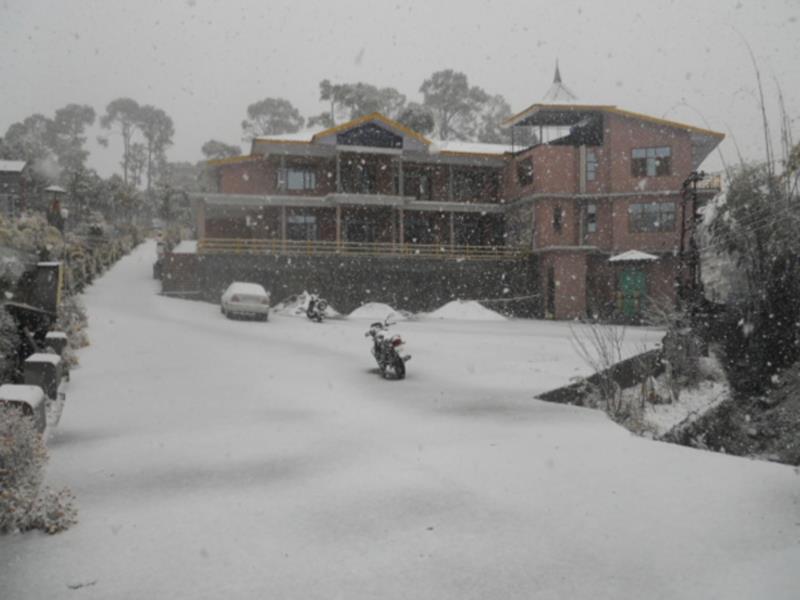 Nature Bloom Dharamshala Hotel And Resort Palampur Exterior photo